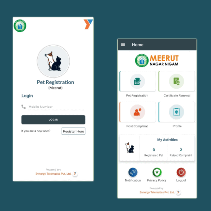 Portfolio